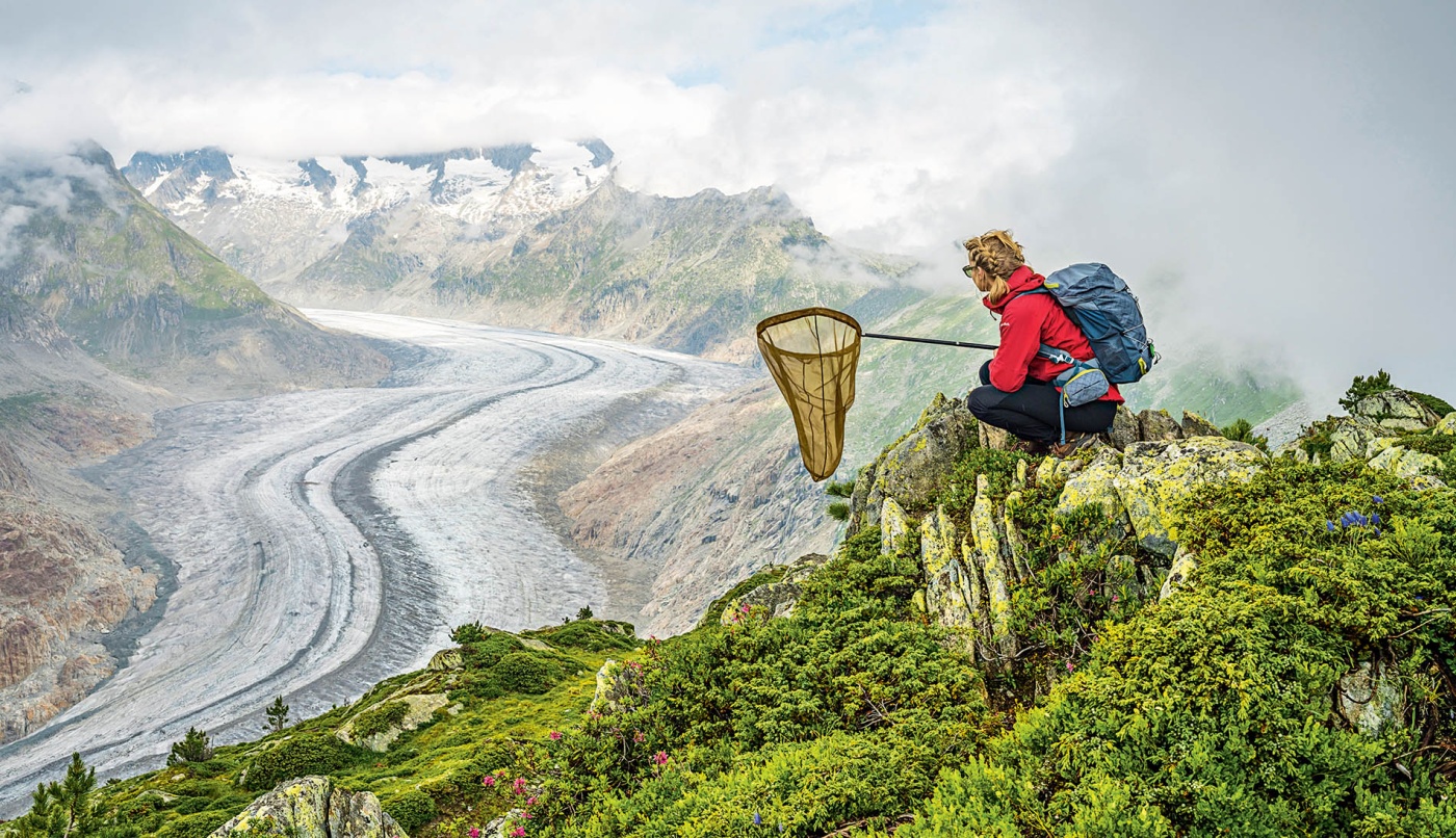 Image of a person sitting on the peak of a mountain holding a butterfly net