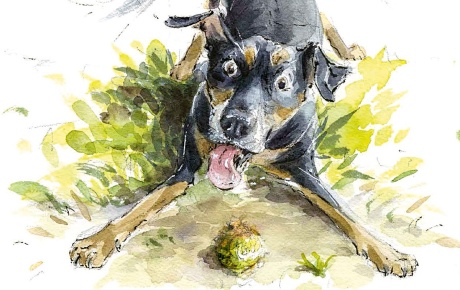 An illustration from the book "Nose to Nose" by Thyra Heder