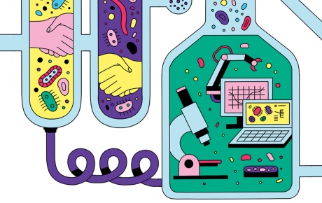 detail of an illustrated research timeline